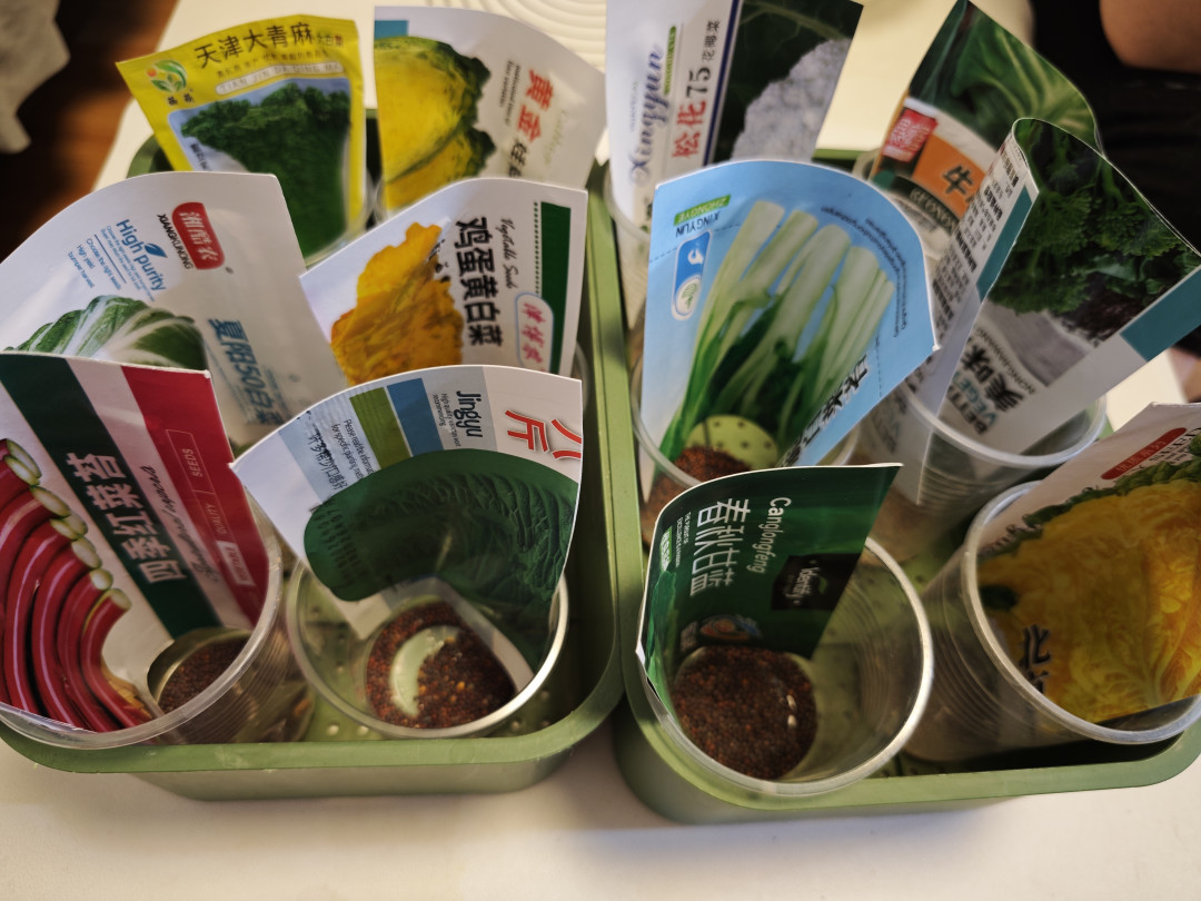 史上最强厄尔尼诺正在形成,出伏又撞处暑:今年秋播别照抄时间表