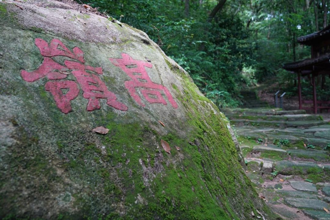 古人为啥不写“爱”字？看完今晚的七夕热搜，我把门道和能直接用的句子都整理好了