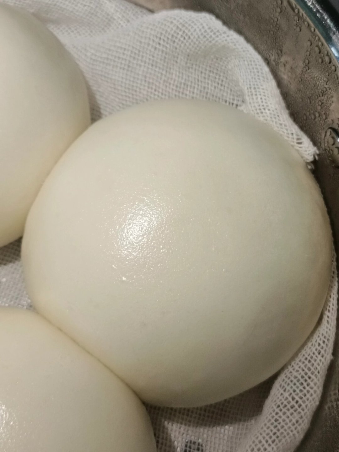 面还在手里揉着,它已经开始发了?夏天4种“减速发酵”路子整理给你