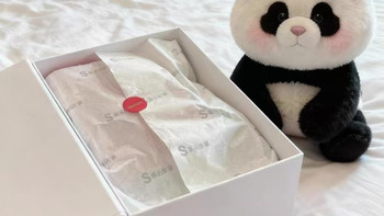 带娃省心神器｜会微信通话的熊猫 AI 毛绒机器人🐼