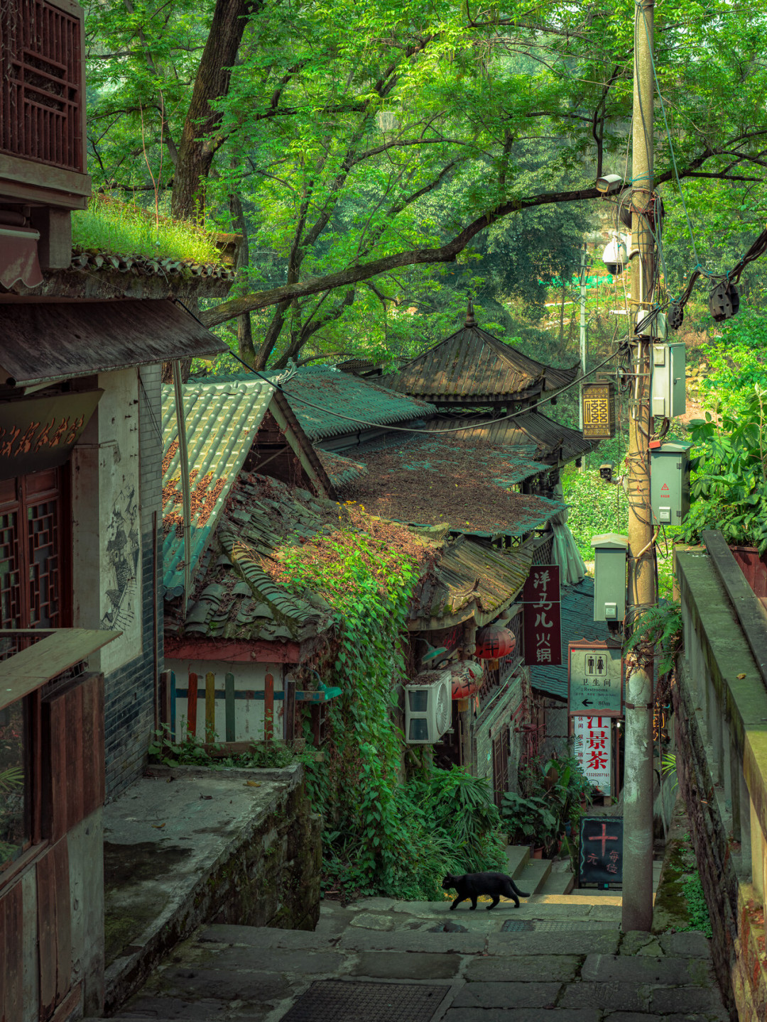 世界摄影日撞上
