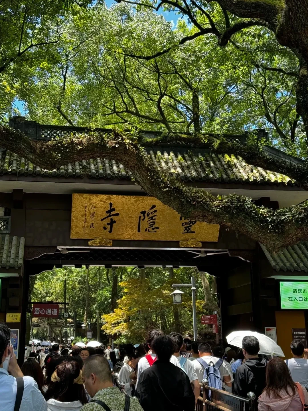 灵隐寺免票8个多月,免费票反而比收费时更难进:预约、候补、黄牛一次说清