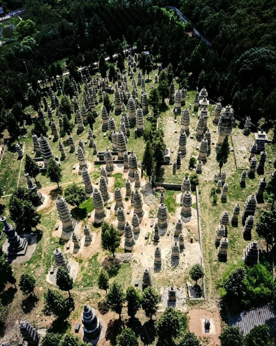 全网都在吵方正能不能进笑傲前三,我翻完500多条评论,把原文证据链理出来了