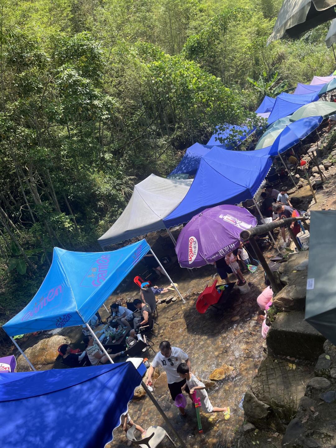 处暑想去乡野漫游?先别急着冲网红村,看完这份翻车与避坑清单再出发