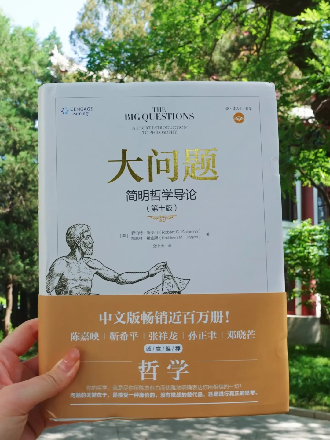 别乱买你的第一本哲学书:把全网对8本网红入门书的争议对了一遍,我们整理出这份选书避坑指南