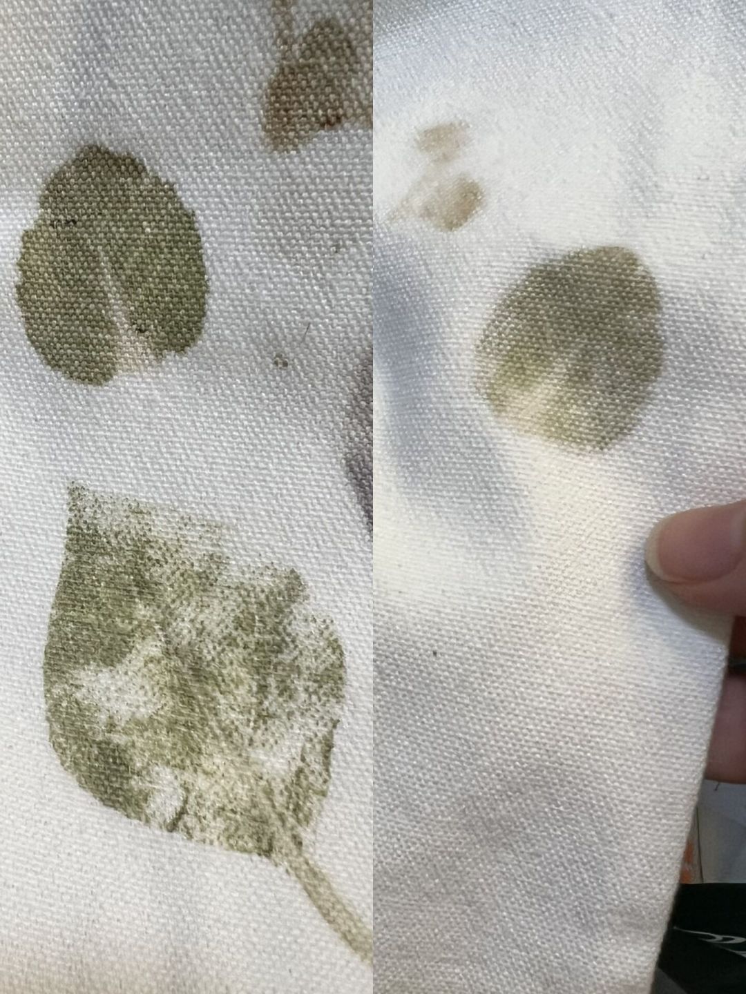 植物拓染一个月就褪色?翻遍全网的褪色记录,固色真相和值不值得玩,一次说清