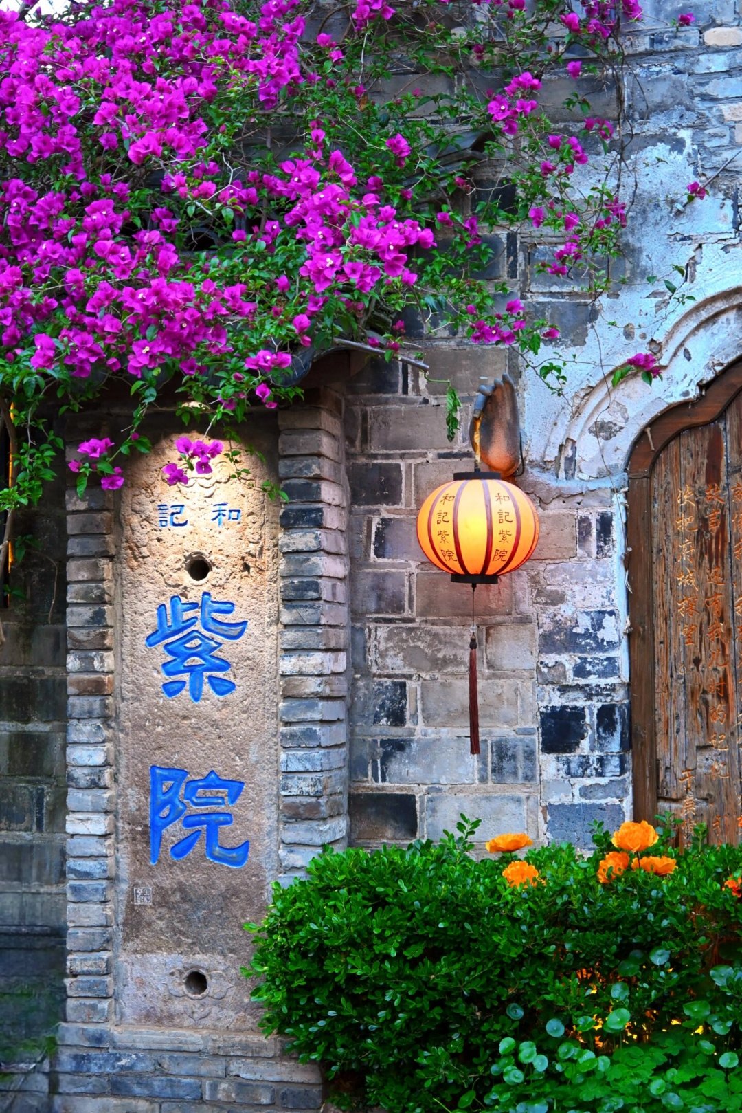 梧桐树倒了,城墙守住了:台风
