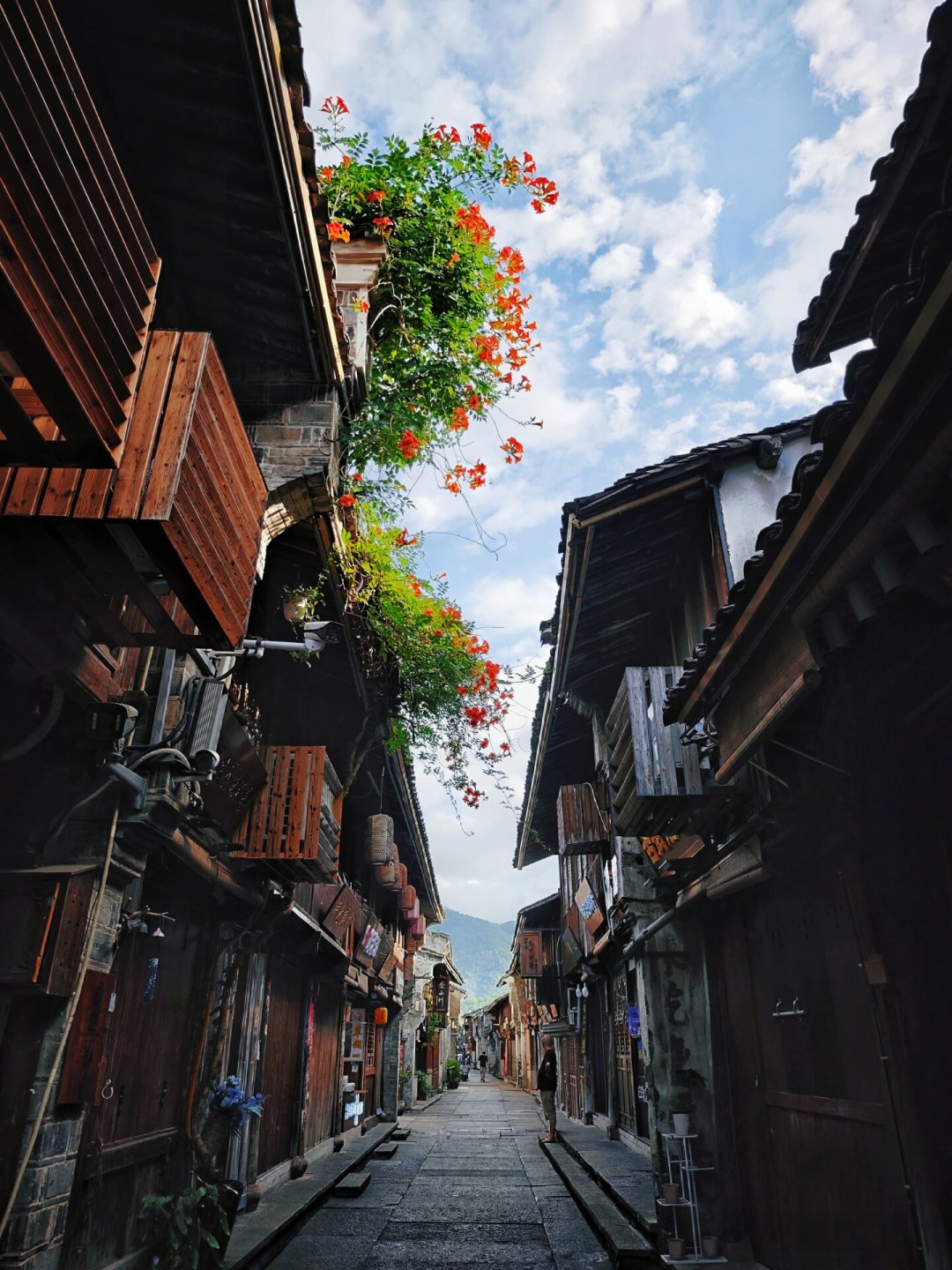 梧桐树倒了,城墙守住了:台风