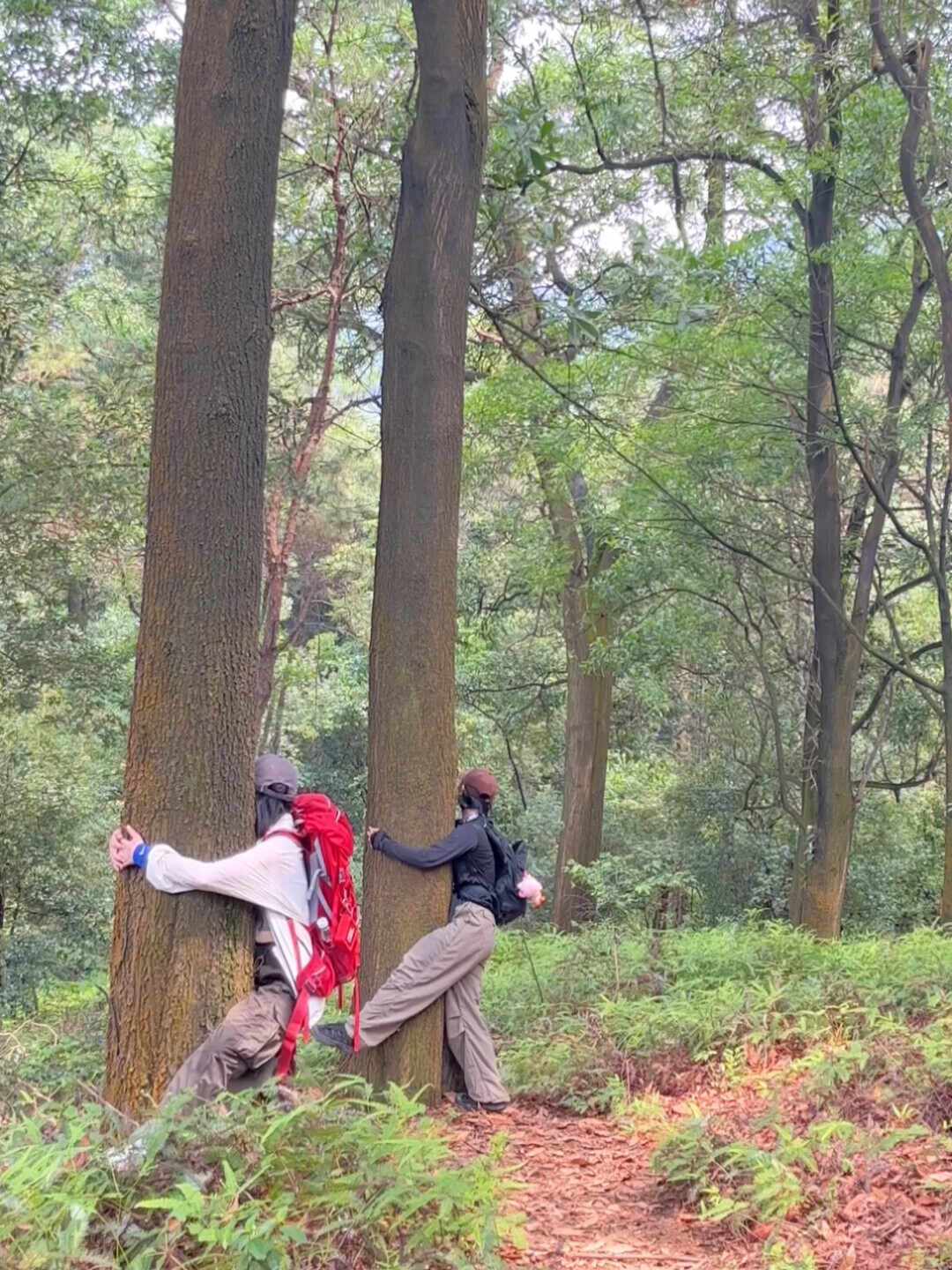 《“公园20分钟”有Nature子刊论文背书,疗愈课却被央视点名:自然疗愈里哪些值得花钱》