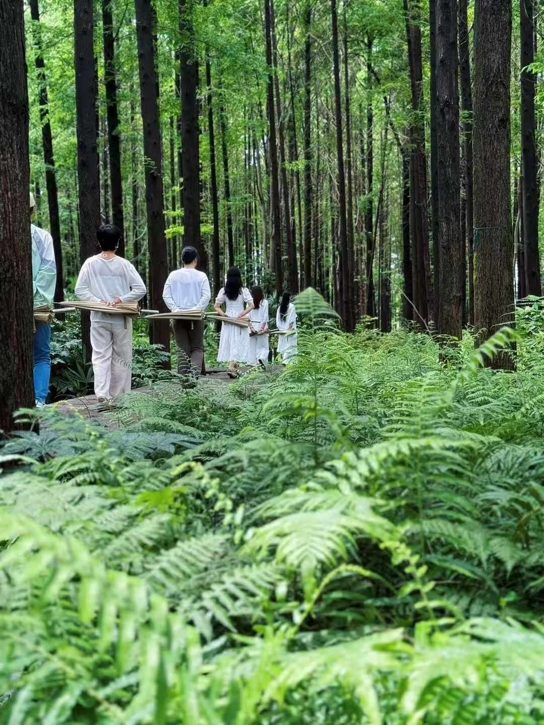 《“公园20分钟”有Nature子刊论文背书,疗愈课却被央视点名:自然疗愈里哪些值得花钱》