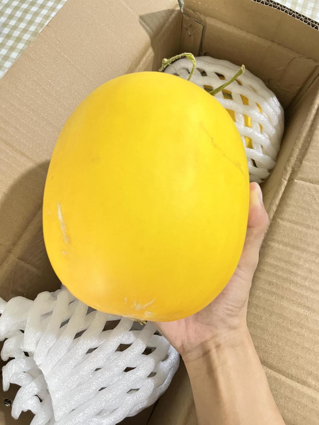 马云两鬓花白现身甘肃民勤：蚂蚁森林十年，他替几亿人回去“验收”了