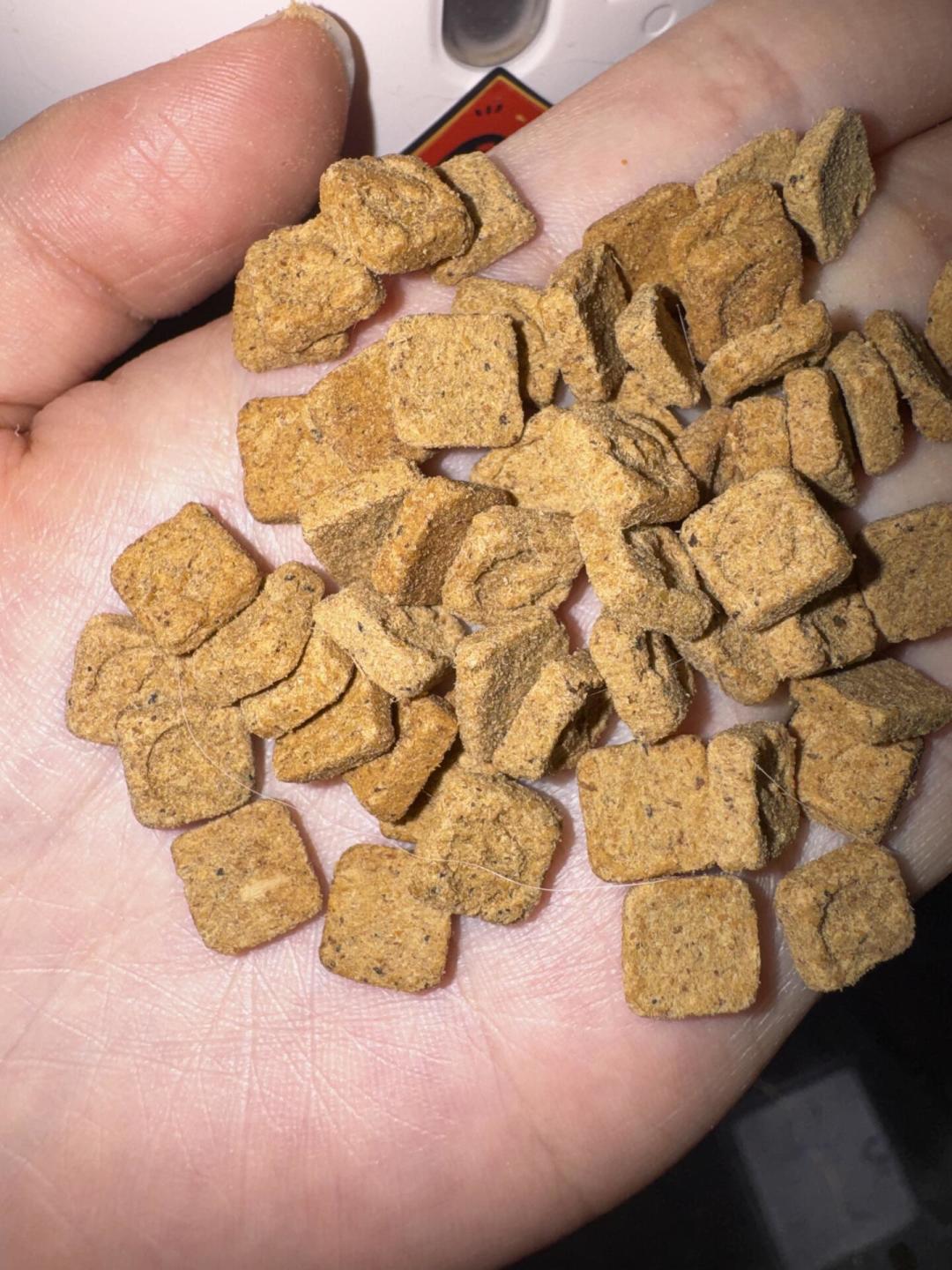 金故猫粮