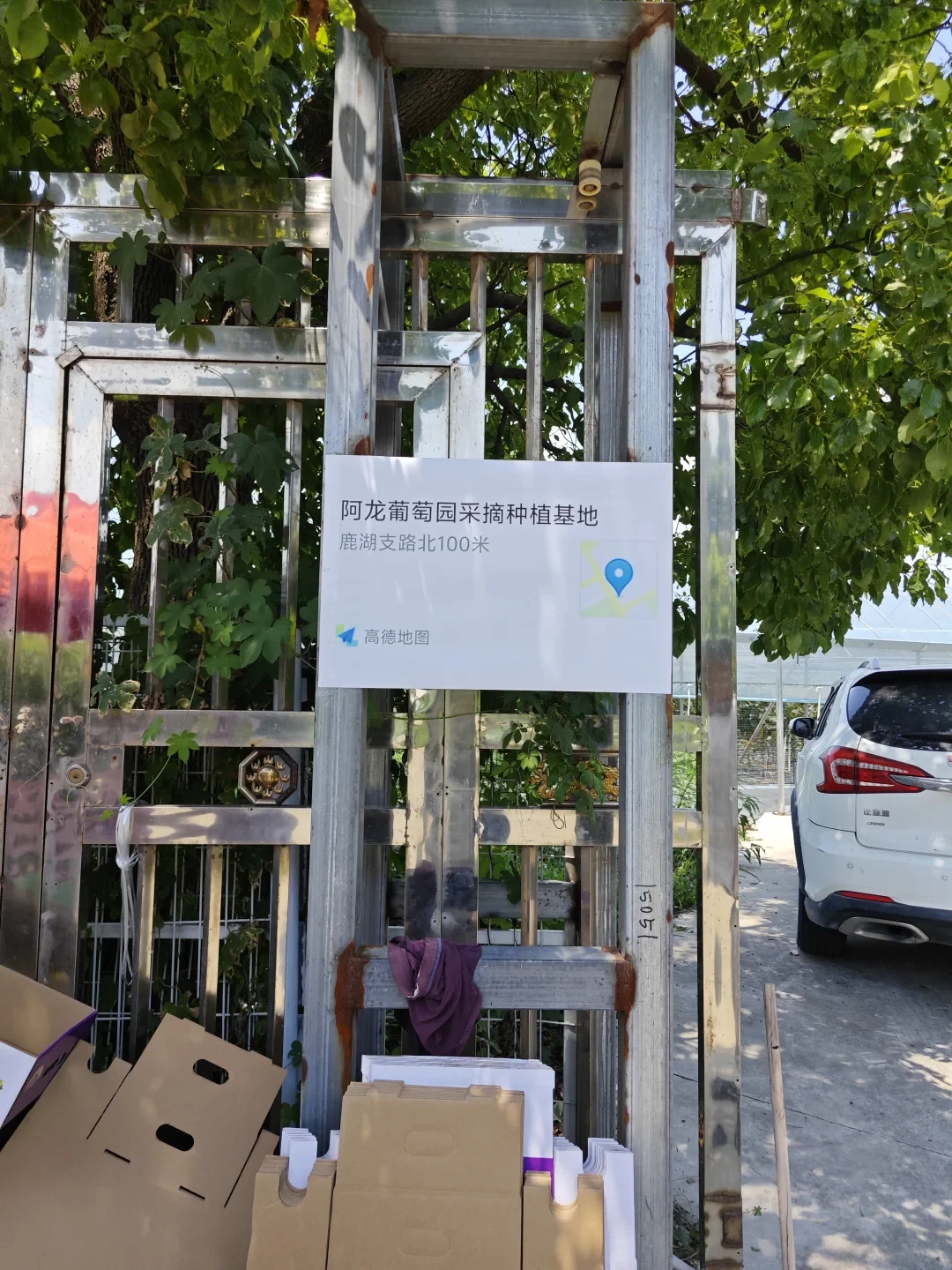 葡萄跌到3块一斤,采摘园还敢收20元门票:算完这12个真实案例,谁划算谁被坑一目了然