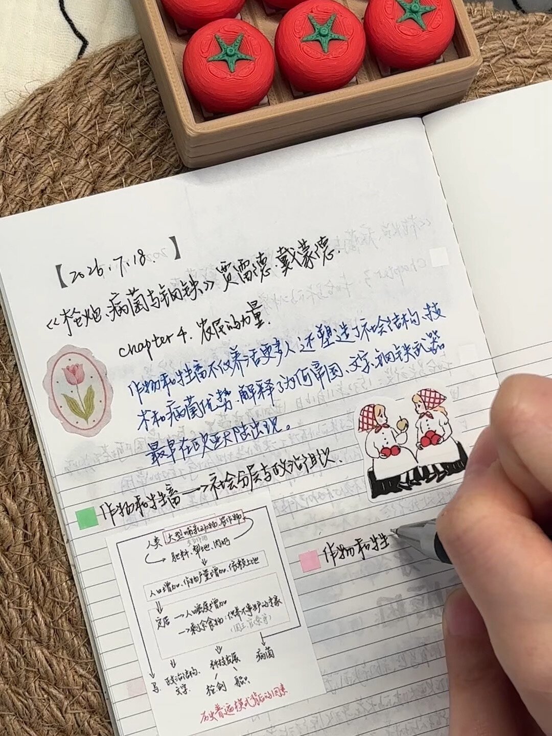 《枪炮、病菌与钢铁》:被捧上神作、被历史学家批评、被读者读不完,它值你的20小时吗?