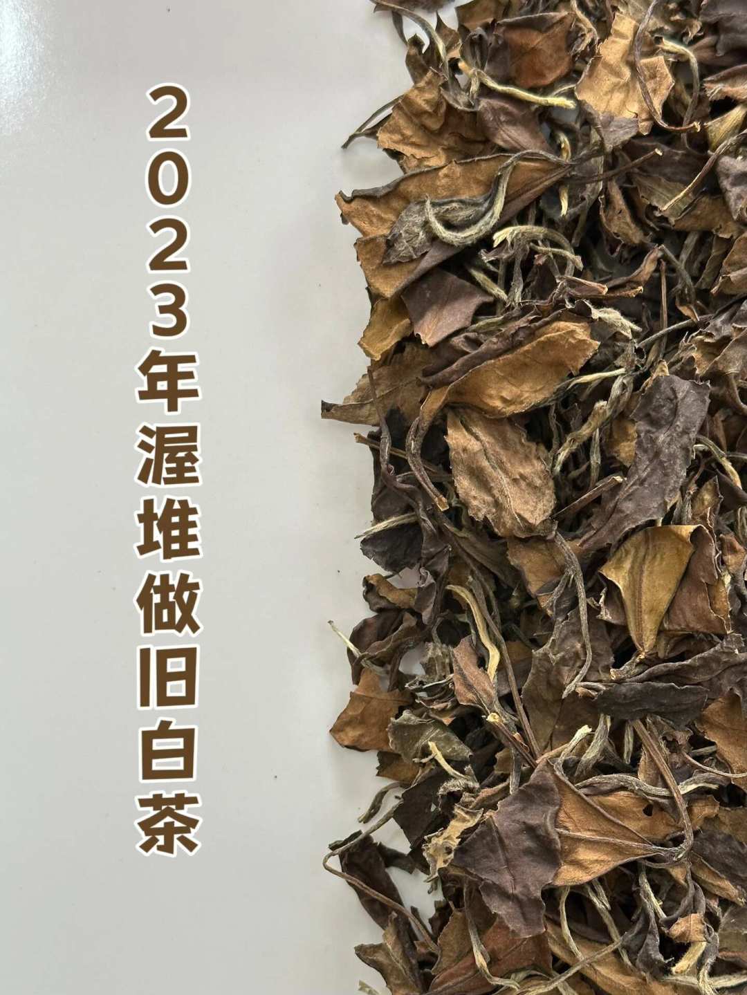 老白茶进入旺季:包装上这3处