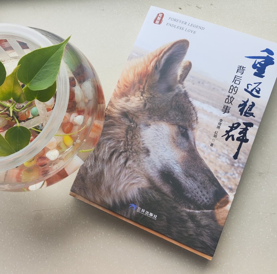 《重返狼群》火了大半年,版本还是有人分不清:市面上的都整理好了,买前看一眼