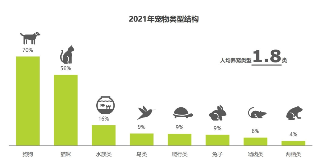 学费3000元起步,训犬师的证却只卖200元:送狗上“学”前,先查清楚这5件事