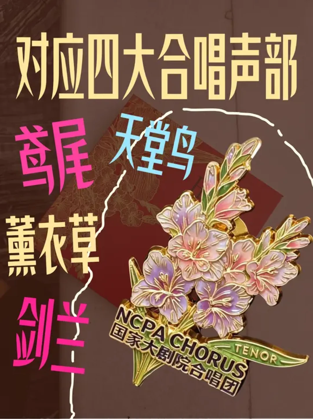 中文唱《费加罗的婚礼》:本周末国大音乐会版,歌剧新手的低门槛入场券