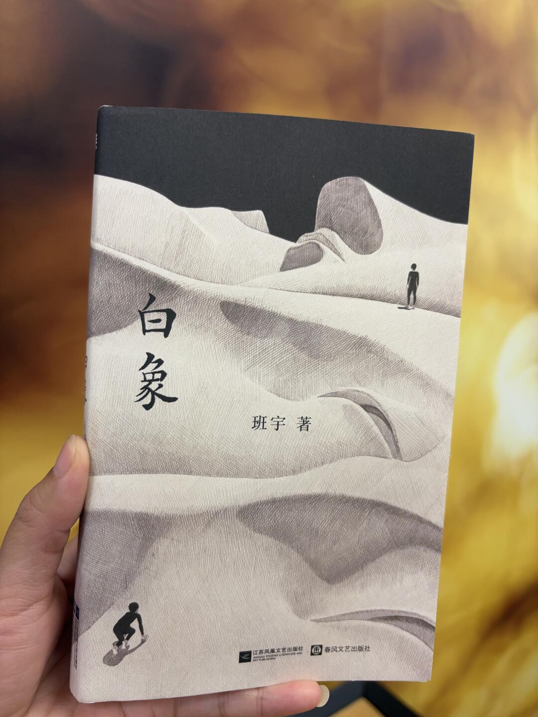 郑执暌违六年的新长篇《朱砂掌》口碑分化,班宇刚拿下鲁奖:东北文学的大年,补课入手怎么选
