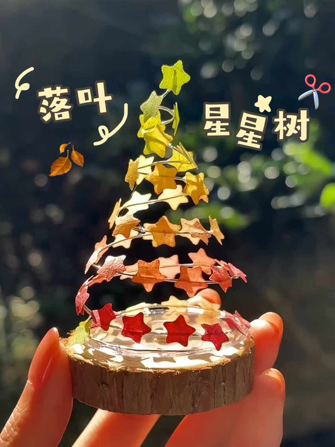 两万块的研学营踩大雷,几十块的“自然教育”团毁山林:自然研学交钱前先问三个问题
