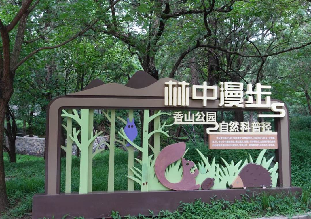两千亿研学市场迎来整治：孩子的自然教育，哪些钱值得花，哪些不用花