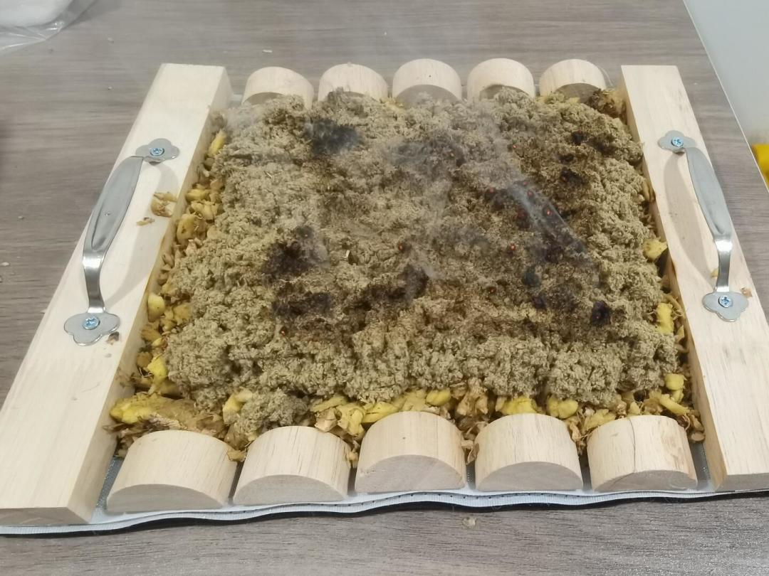 出伏还有4天,三伏灸收官:该不该突击补灸、怎么避坑,两边的话我都替你看完了