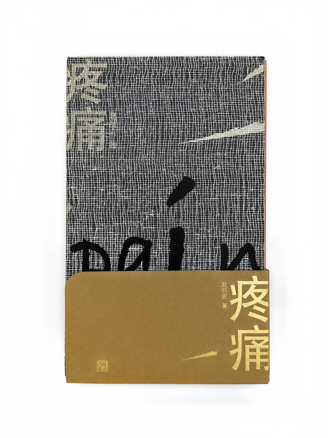 赵丽宏凭《疼痛》拿下波兰雅尼茨基文学奖：译成20多种文字、国内几乎没人讨论，这本诗集该不该补票？