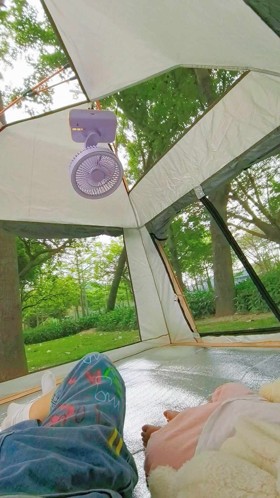 冰雾风扇被人吹成