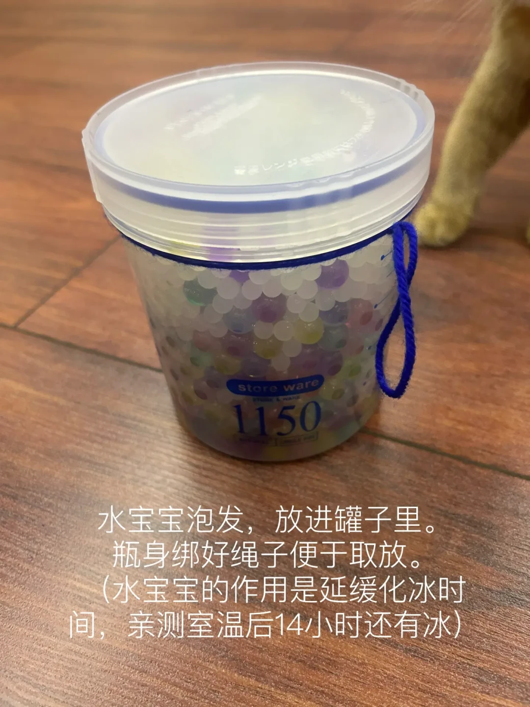 仓鼠摊成饼不是卖萌,是太热了:三档温度红线和三档度夏降温方案