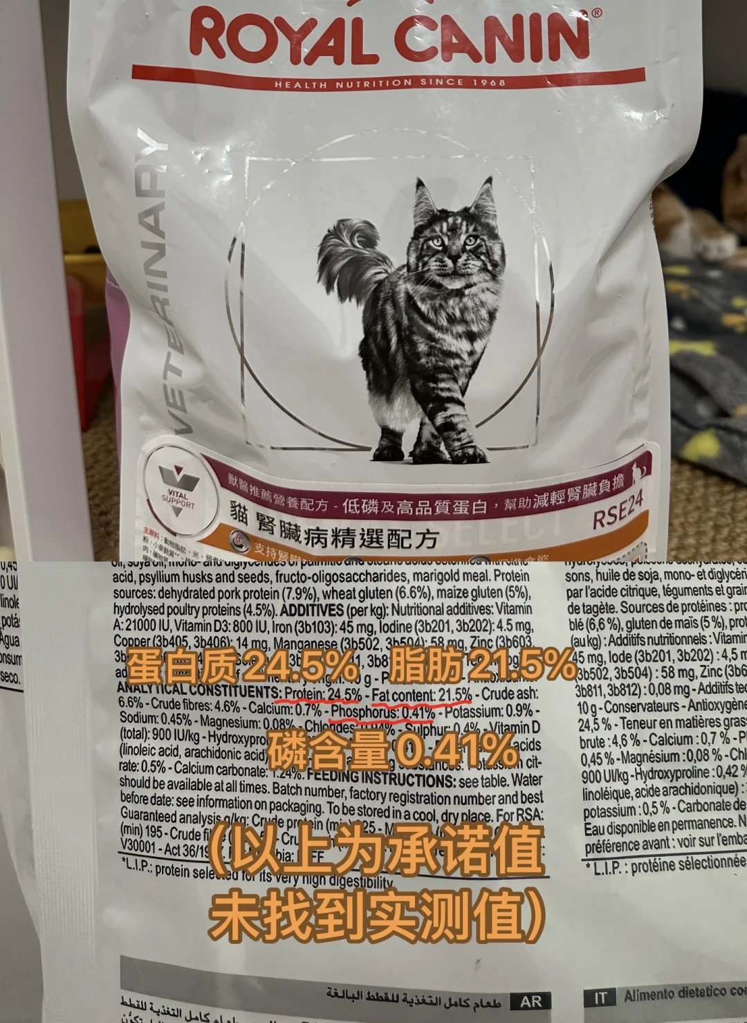 猫过7岁别急着买“老年粮”:没有统一标准,选没选对看这三点