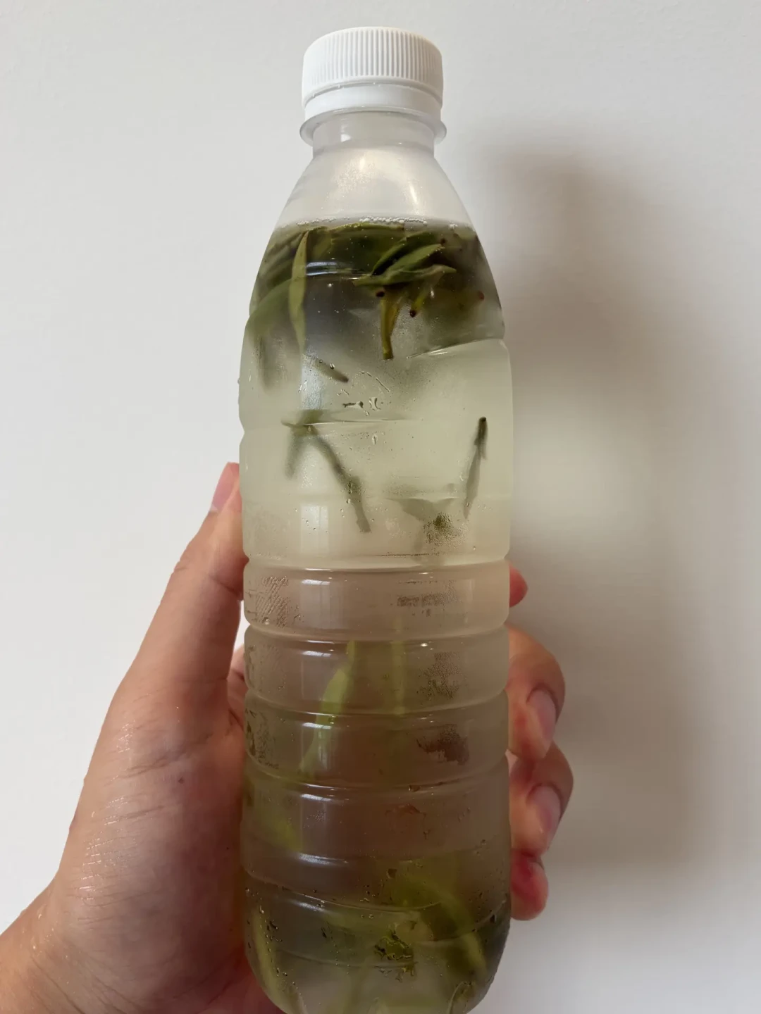 「冷泡一晚上=隔夜茶,有毒?」那篇4.5L的帖412条评论吵翻了:对完全网100多篇帖和4组实验,冷泡茶的安全时间、泡法表和4条红线一次说清
