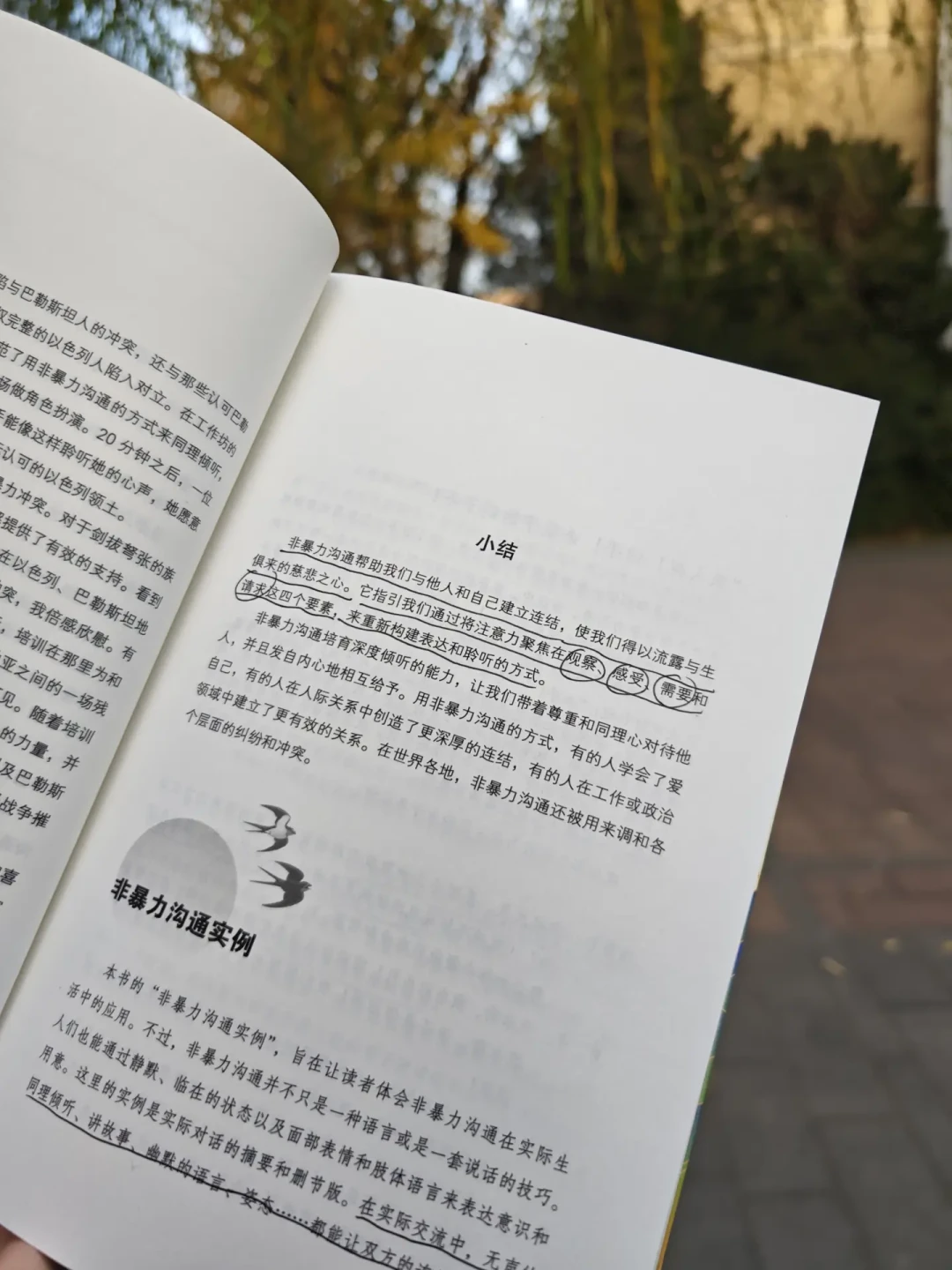 一半人捧它是沟通神书,一半人骂它没用:《非暴力沟通》到底值不值得买