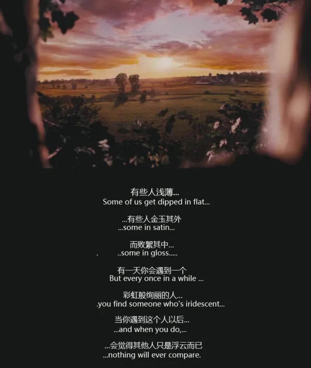 爱情片从七夕档消失了,但它们去哪了?新片、经典和找片路径都在这