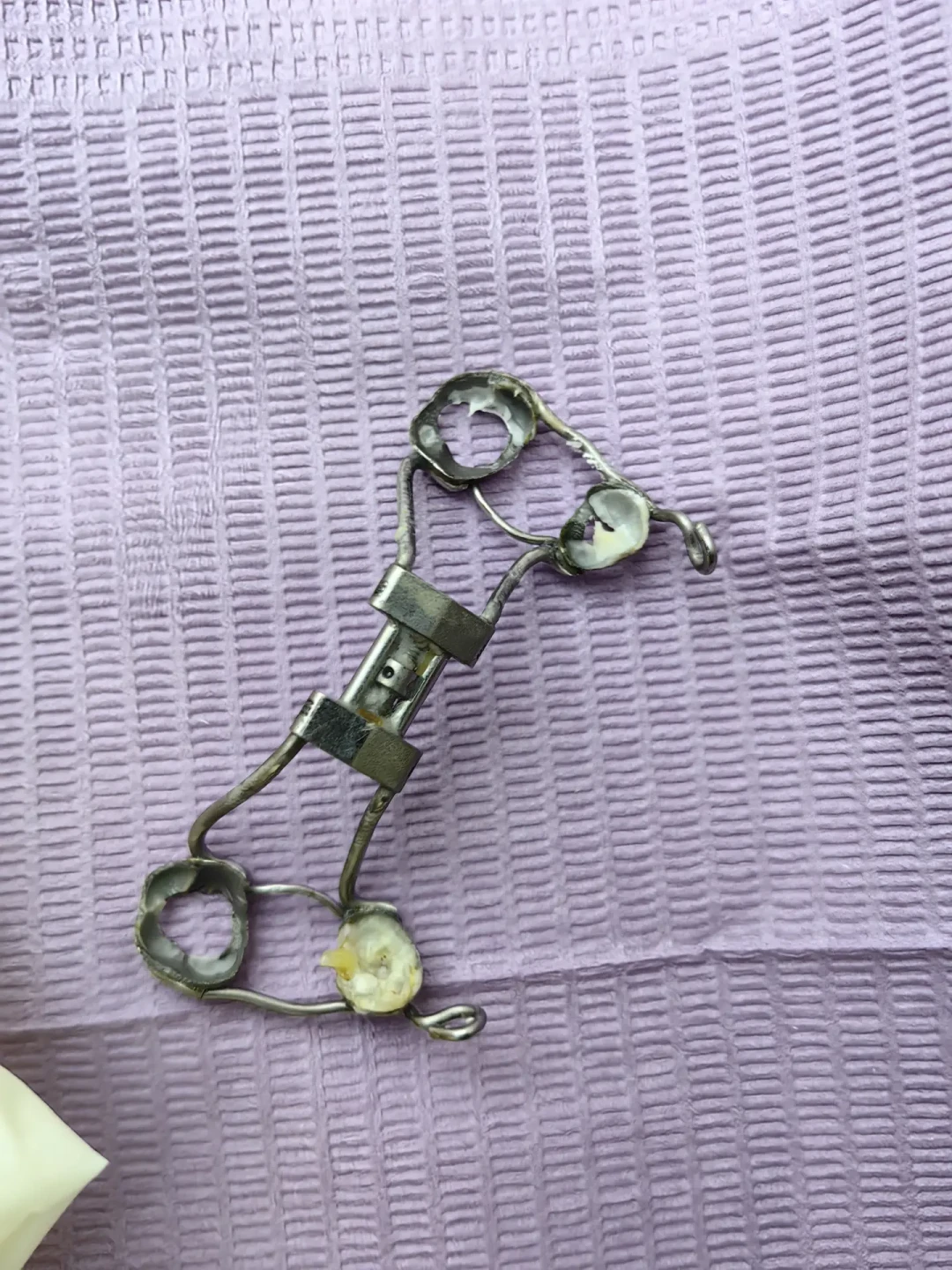 老人说