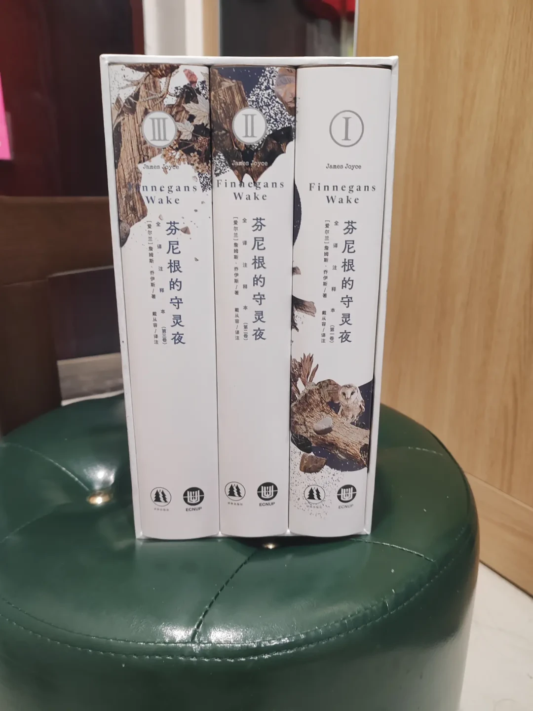 鲁奖翻译奖5部获奖译作,4部是中文“首译”:下单《芬尼根的守灵夜》前,先分清哪本读得完、哪本别急着买