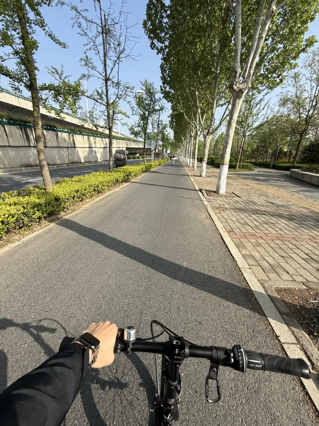 折叠车比公路车累50%?对照全网骑友实测数据:10公里通勤你可能并不输