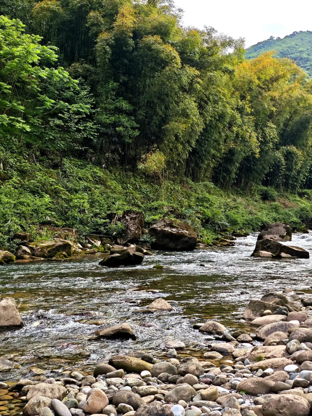 夏末溪流进入飞蝇钩时间:是神饵还是打龟饵,就看这三件事