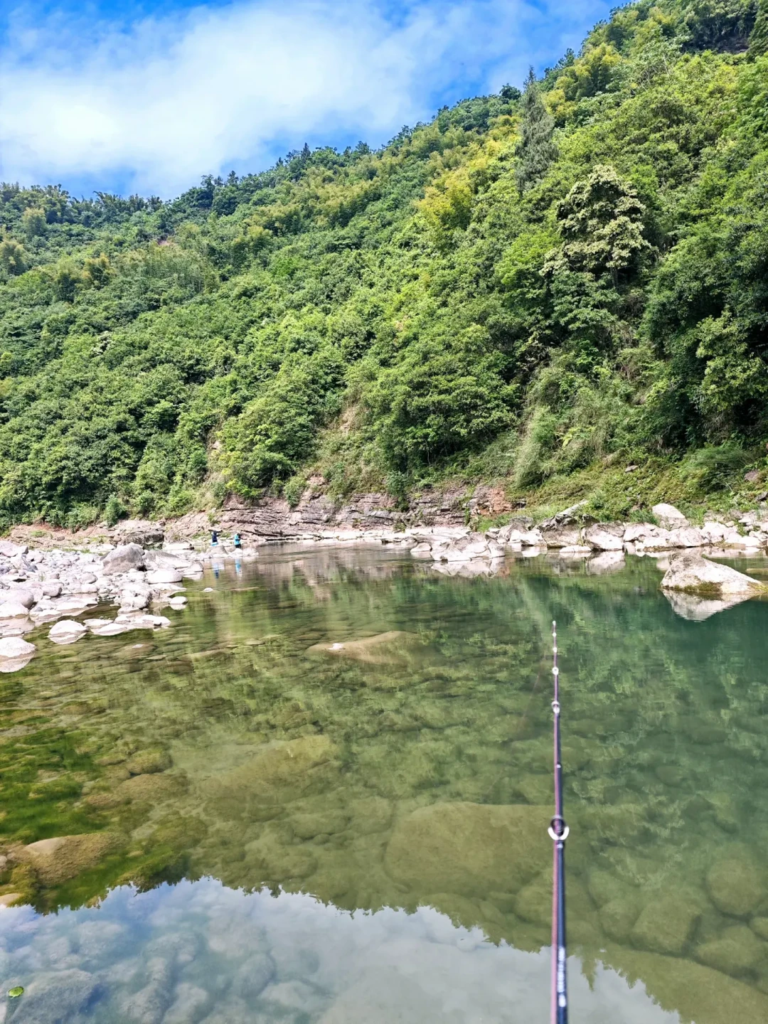 夏末溪流进入飞蝇钩时间:是神饵还是打龟饵,就看这三件事
