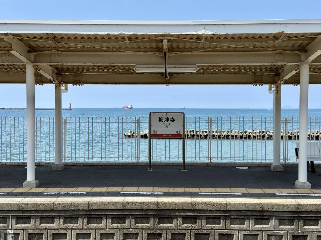 十万日元够复刻路明非的路线吗?《龙族》粉丝的巡礼账:三条线、三档预算、两个坑