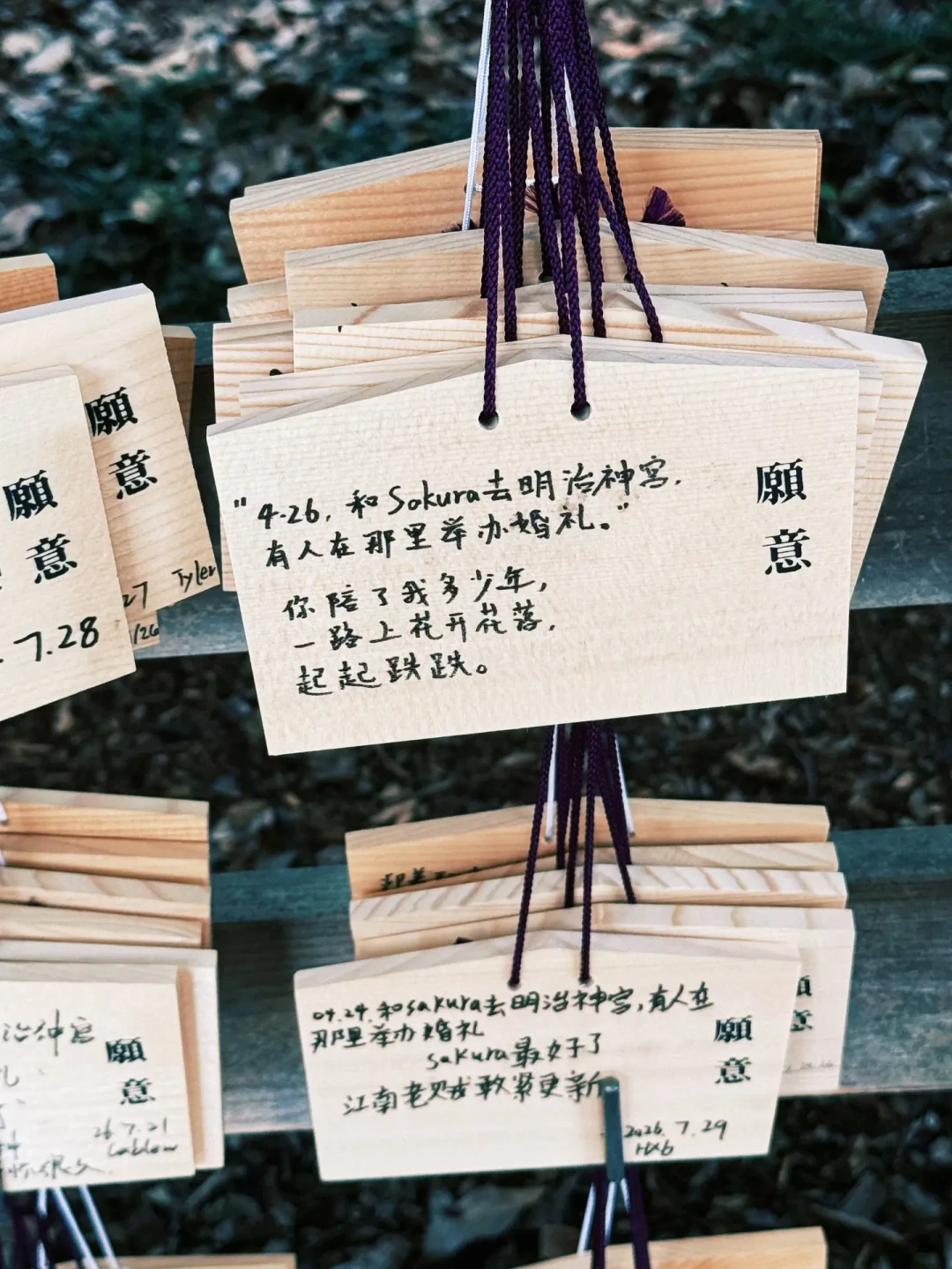 十万日元够复刻路明非的路线吗?《龙族》粉丝的巡礼账:三条线、三档预算、两个坑