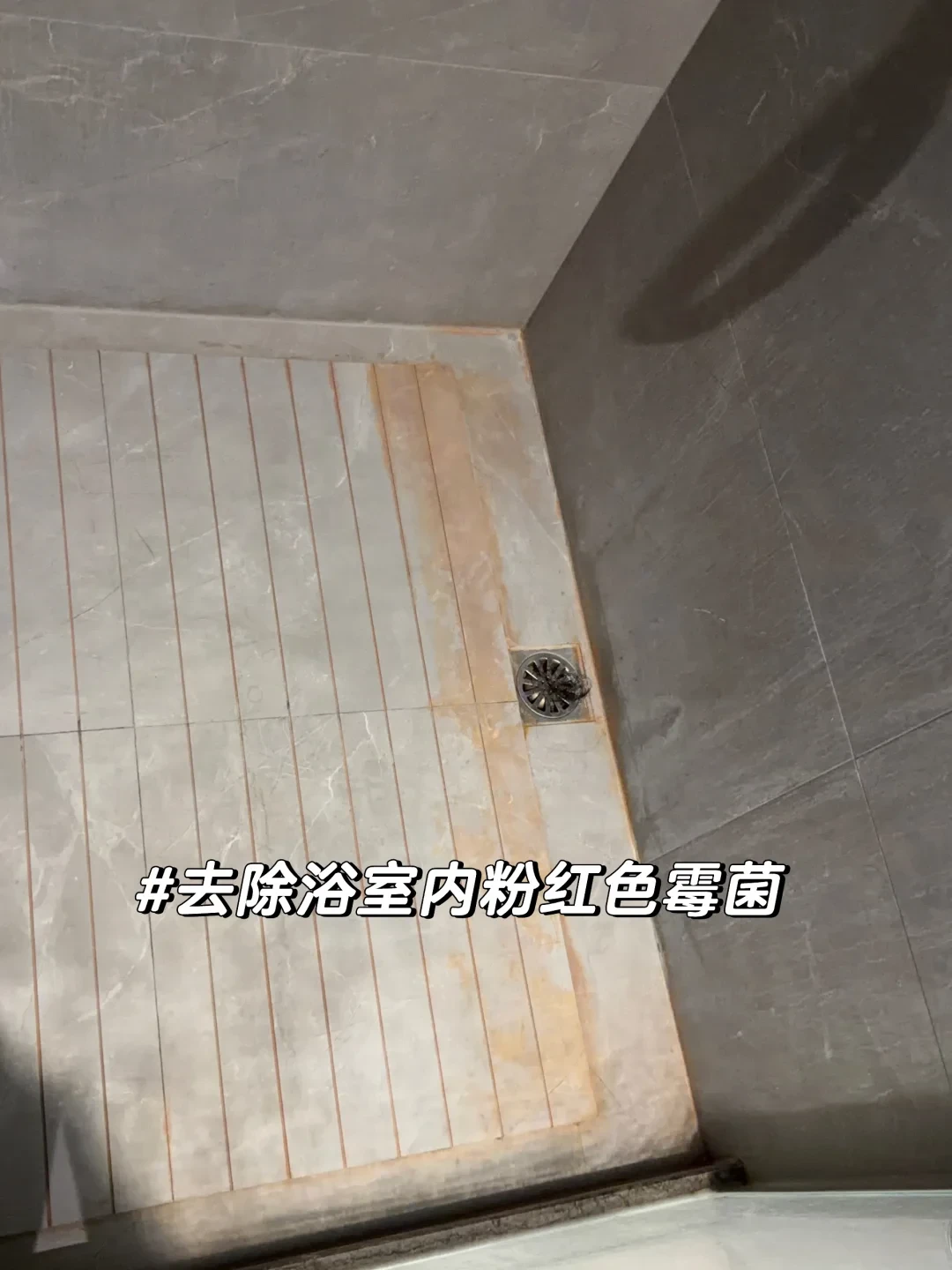 卫生间发霉擦了又长?粉色那层根本不是霉:先认东西再花钱,这张对照表和评测给你省掉智商税