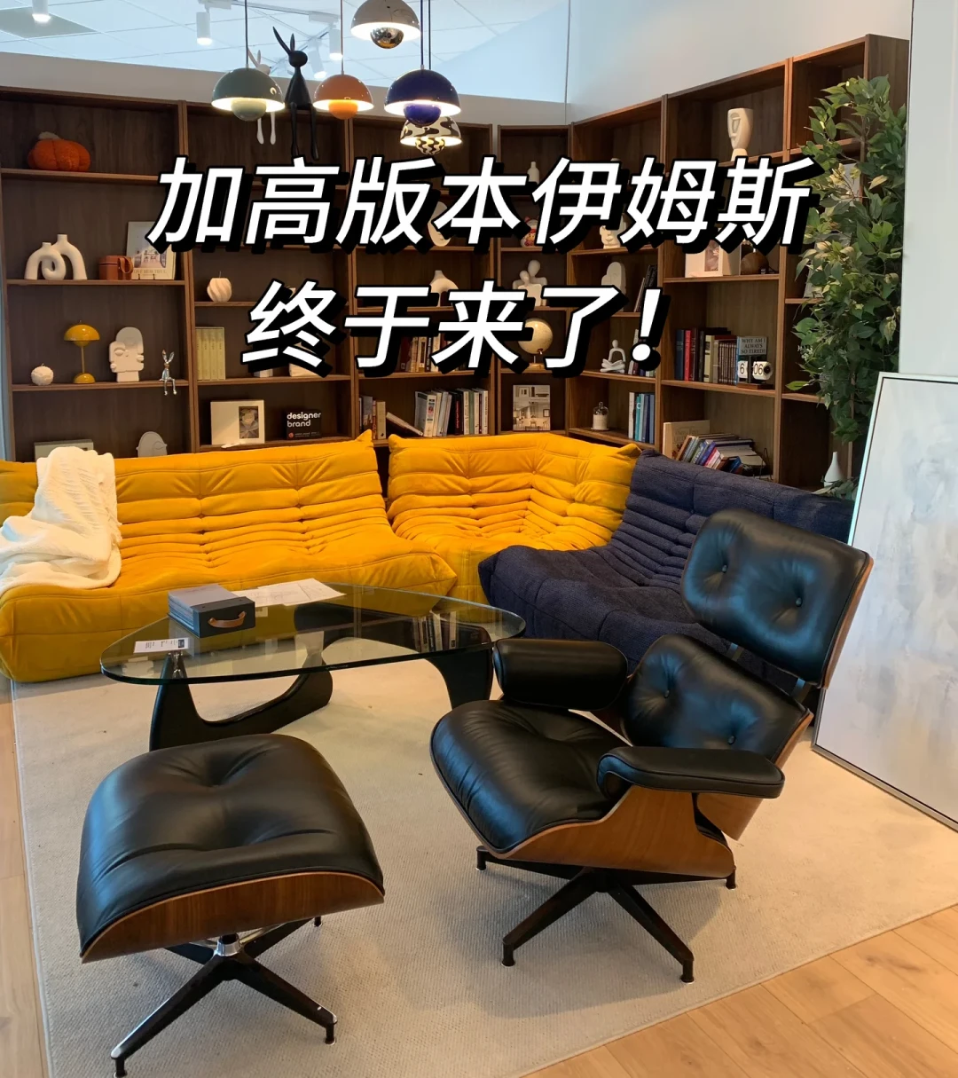 同一把伊姆斯躺椅，有人卖一千五，有人卖五万：我翻遍全网攻略，先滤掉一半软文，再给你这份档位表
