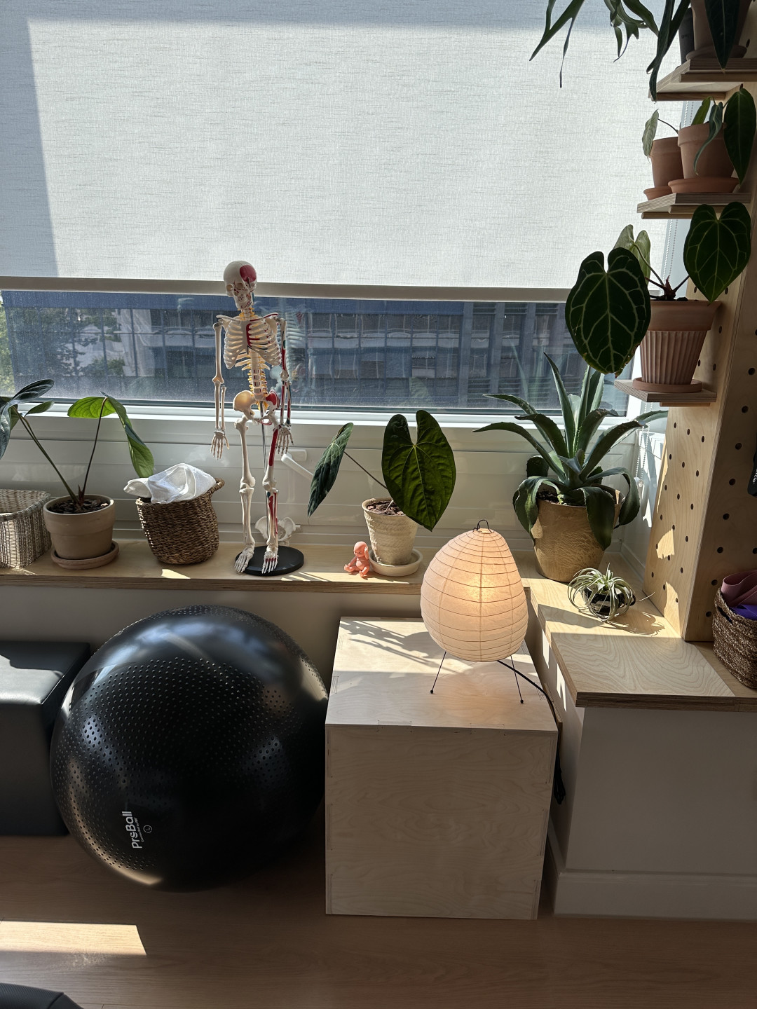 几十万收藏的体态跟练，到底有没有用？我们把承诺拆成三类：能练的、智商税、先去医院