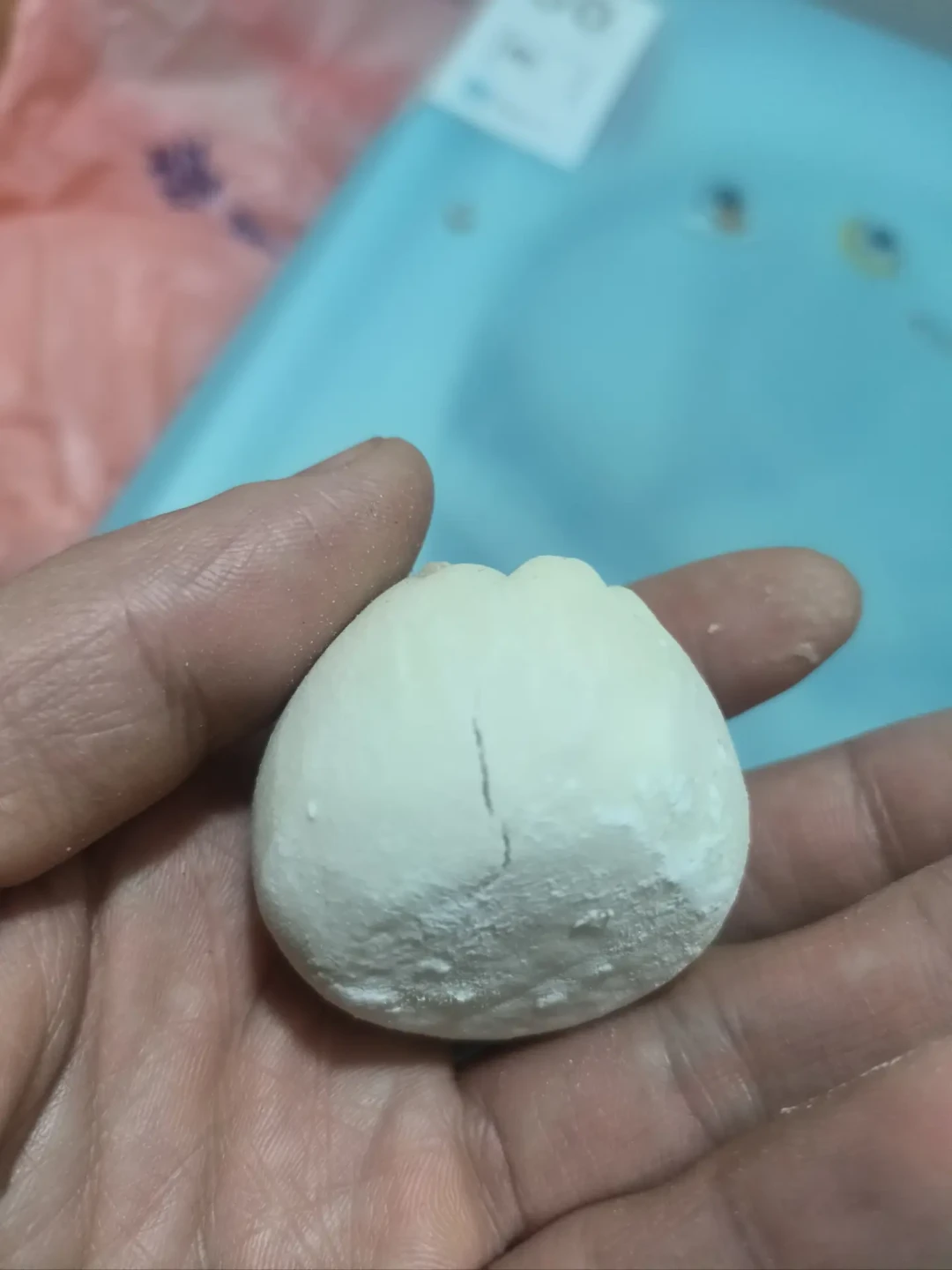 开学备餐先别急着冻包子:“生冻”为什么连工厂都头疼,三条路线一次讲清