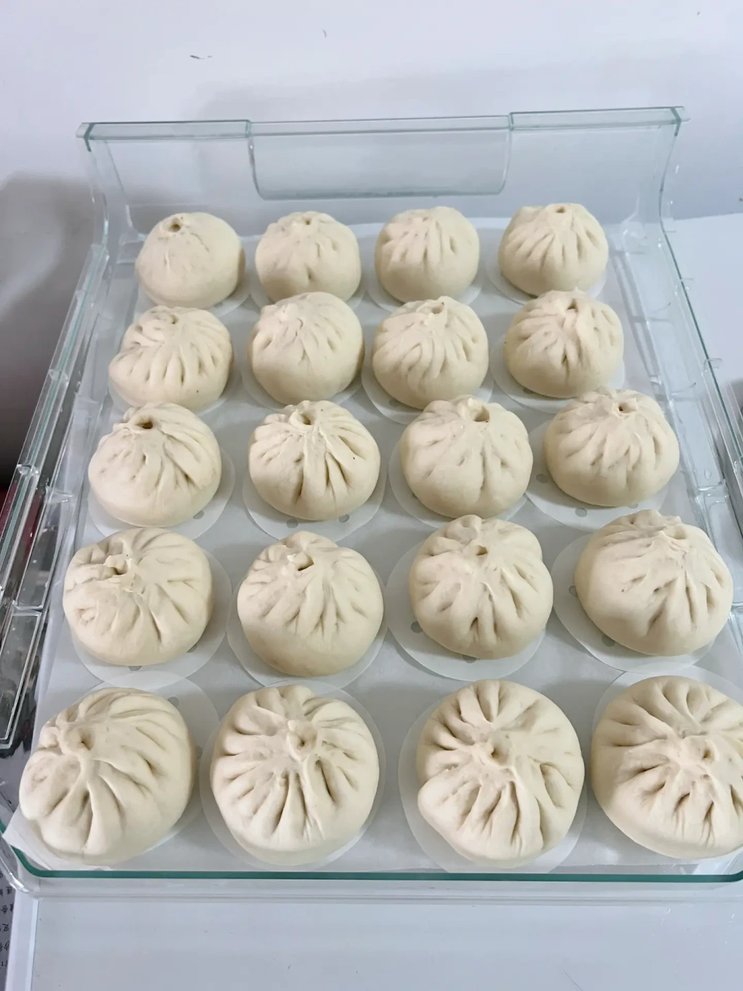 开学备餐先别急着冻包子:“生冻”为什么连工厂都头疼,三条路线一次讲清