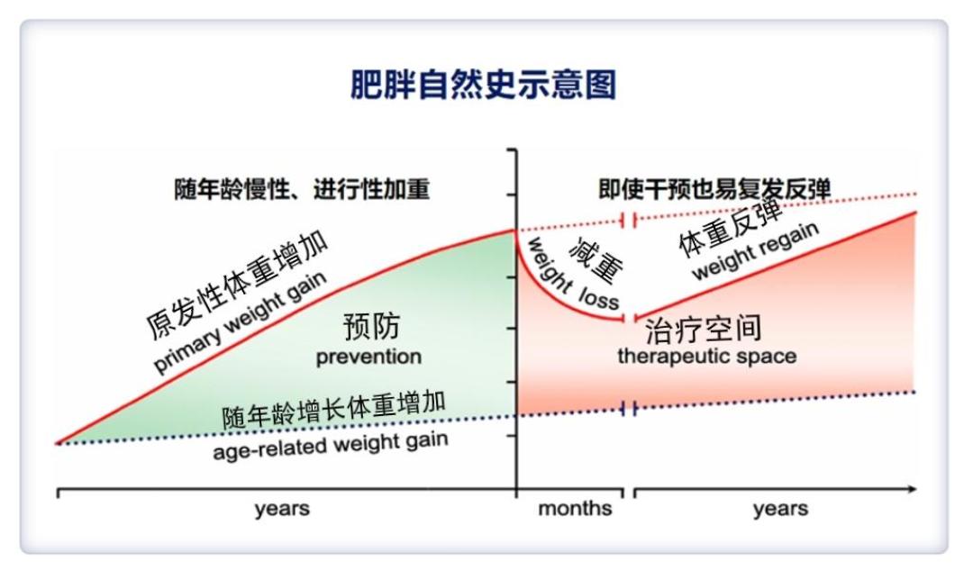 司美格鲁肽专利3月就到期,国产仿制药为何5个月零获批?一把“数据锁”把降价锁到2027年