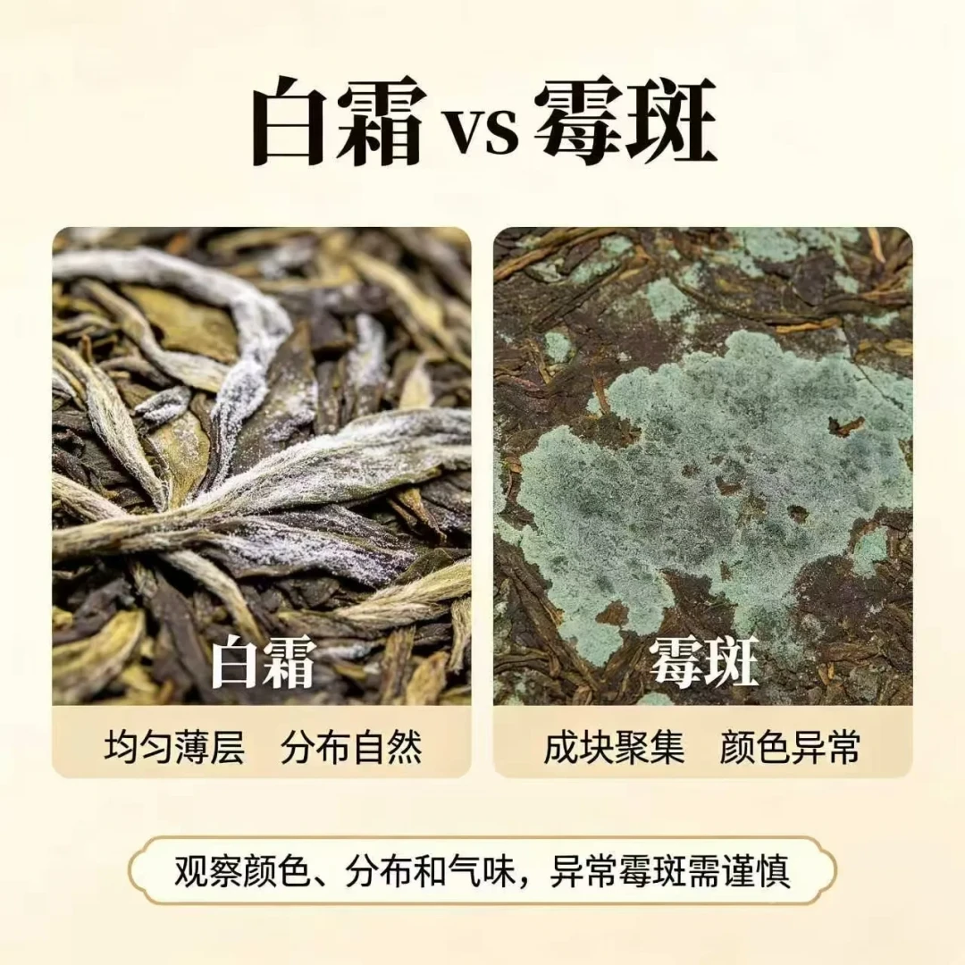 几十块钱的试纸，把熟普测成了“致癌茶”？把两边的证据翻完，聊聊哪些熟普能放心喝