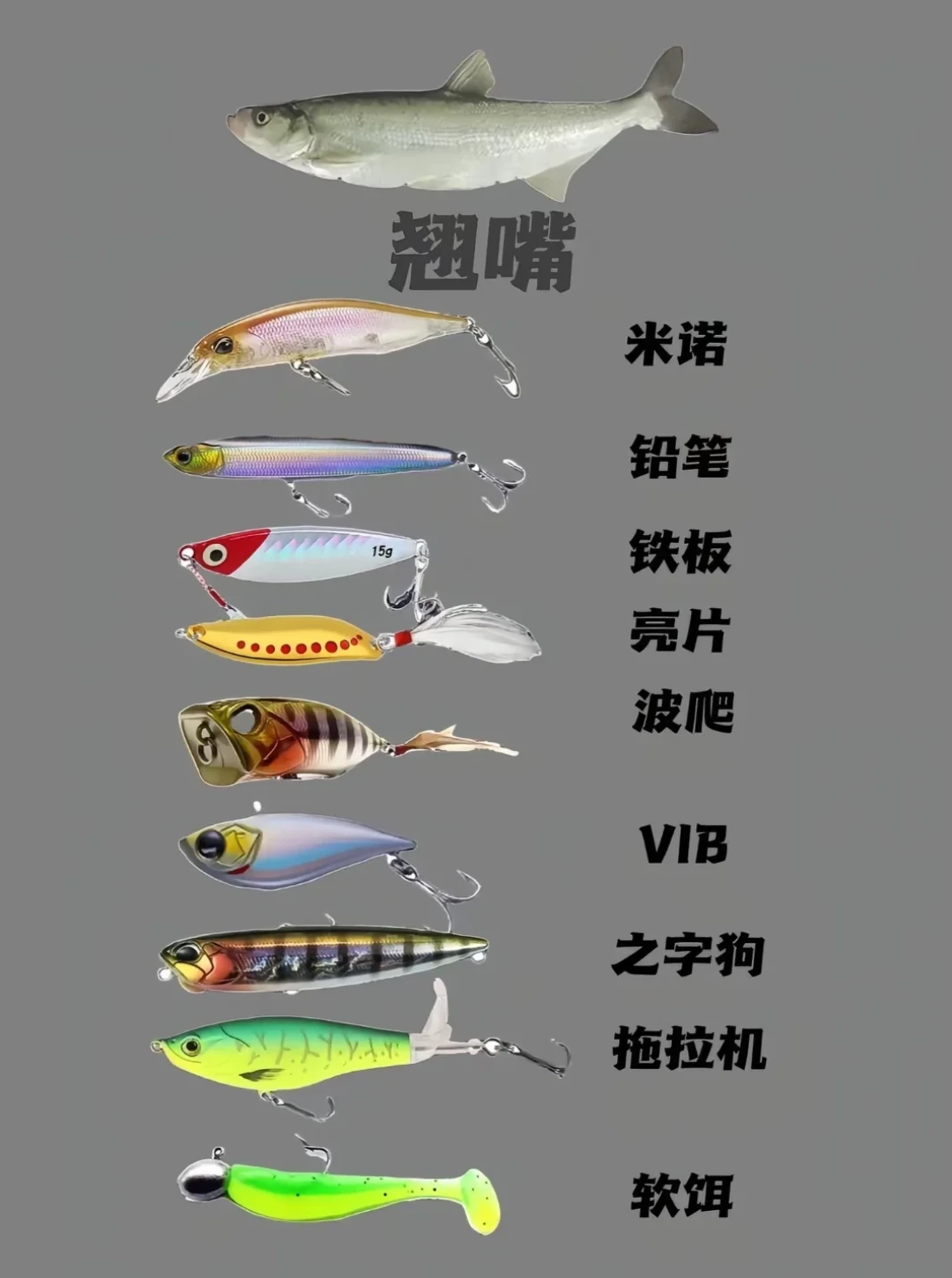 两位数微物竿到底能不能买?翻完爆竿横评和断竿帖,我把装备预算账算明白了