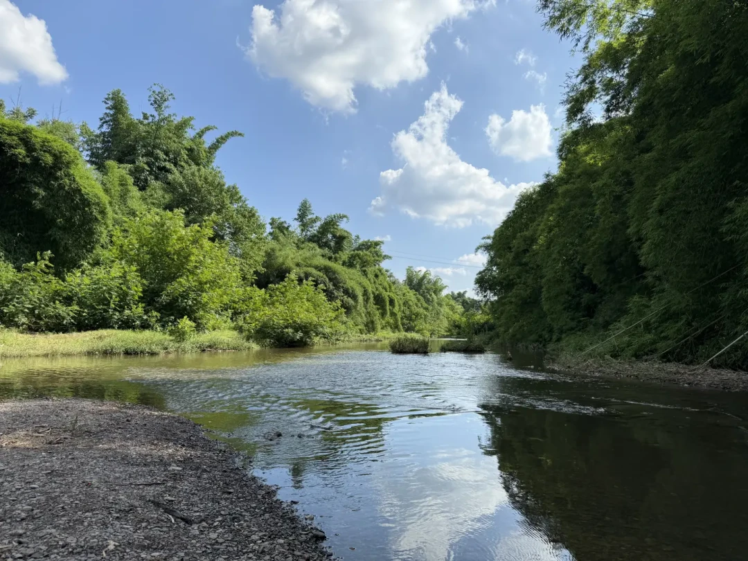 两位数微物竿到底能不能买?翻完爆竿横评和断竿帖,我把装备预算账算明白了