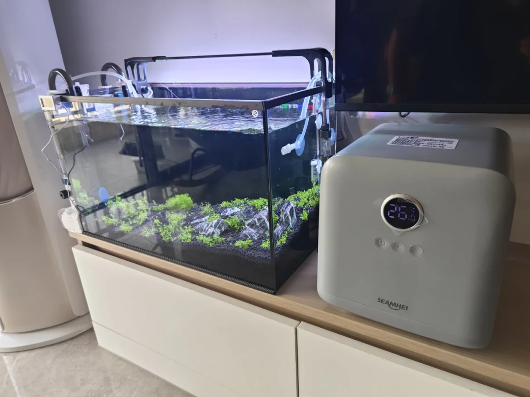 水温破30℃,你的ADA缸进入全年最危险的一个月:风扇还是冷水机,先把这笔账算清楚